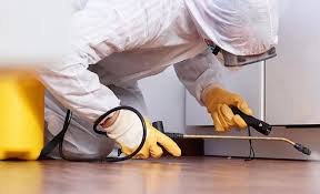 Best Pest Exclusion Services  in Leisure Village East, NJ